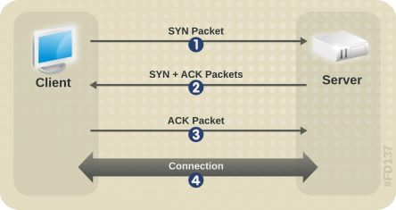 Syn пакет. Syn Packet модели оси. Отправить syn пакет как. Connect 3.5. Packet client